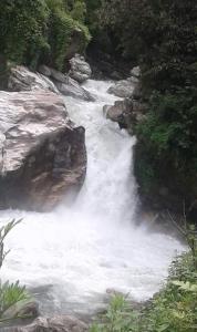 Hotel evergreen lodge