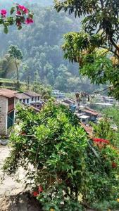 Hotel evergreen lodge