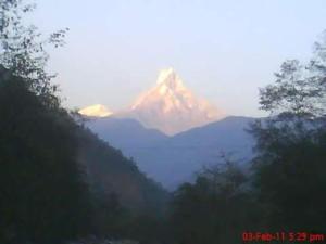 Hotel evergreen lodge