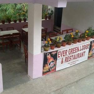 Hotel evergreen lodge