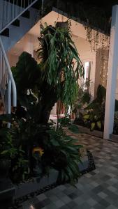 Guest House Djumah Damai