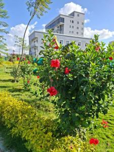 Haven Place 254-near JKIA,SGR with Self-Check in & Free Parking