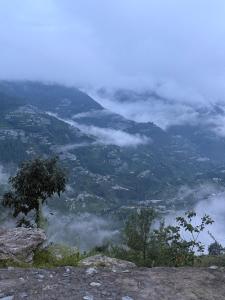 CedarNest by Yoshikahomestays l Forest Boutique Stay l Kufri l Theog l SHlMLA