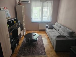 Apartman Grbavica021