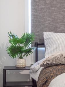 Koala Hideaway Urban Unit Close to Adelaide CBD