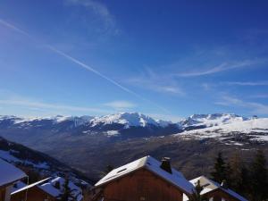 Chalet charmant 5 chambres, 10 pers, Vallandry - FR-1-411-1017