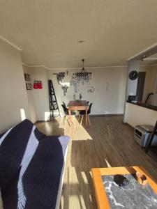 Full Equipped Apartment in Valdivia