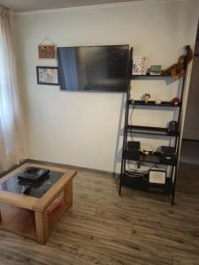 Full Equipped Apartment in Valdivia