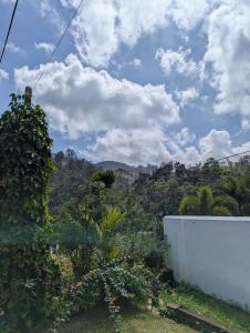 Felix Holiday Bungalow