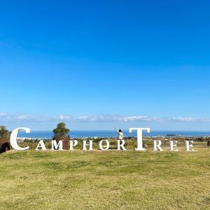 Camphortree Hotel and Resort