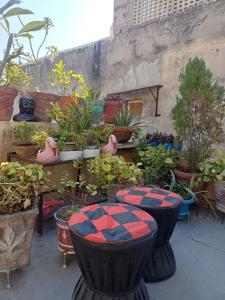 Triangle Home Stay