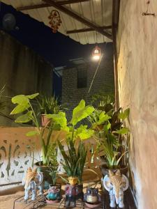 Triangle Home Stay