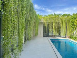 MT Luxury Villas Phú Quốc