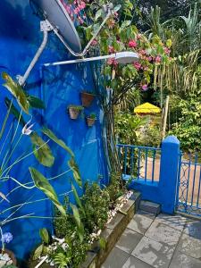 BLUE HOUSE CONEXÃO ILHA GRANDE