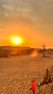 Camp luxury night JAISLMER