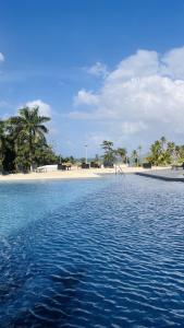 Paraiso Caribeño 706