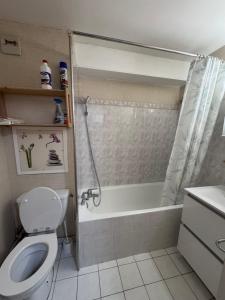 Appartement LE ROC ROUGE aux pieds des pistes