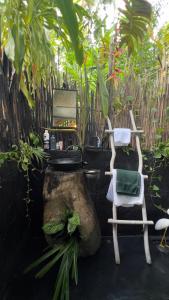 Jungle Cabana