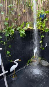 Jungle Cabana