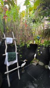 Jungle Cabana