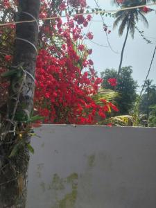 Marari Beach LaVista1