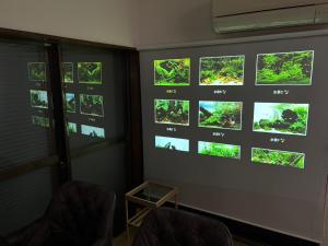 Mikazuki Mizue 三日月 瑞江