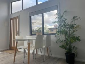 WARM Sunlit Sustainable north facing Studio