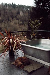 The Rapids Cottage-Secret woodland cottage with outdoor 4 person jetted bath