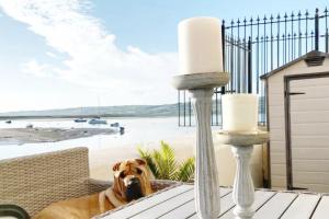 Dog-friendly Seaview Apartment