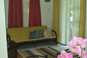 Andrei Holiday House