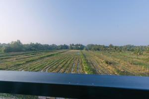 Meadow View 1BHK Luxury Suite by Da Alohas