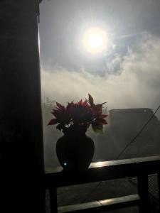 Bình Lan Sa Pa Homestay