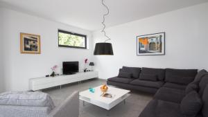 Modern Villa Anna with outdoor pool in Visnjan