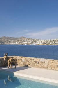 Denia Seaside Villas Mykonos, Private heated pool!