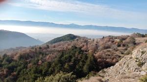 La Chioma di Berenice