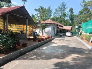 Anurastays