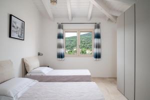 Bellevue 36B by Klodge img10