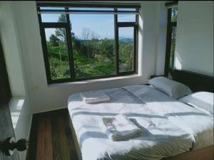 Carrot Creek Resorts