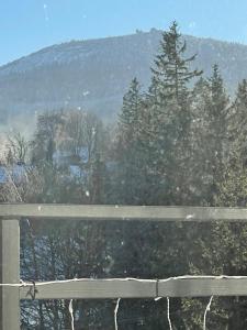 Mamut Szklarska Poręba