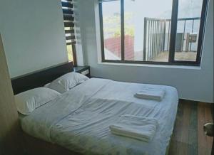 Carrot Creek Resorts