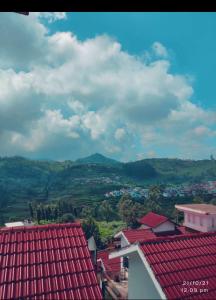 Carrot Creek Resorts