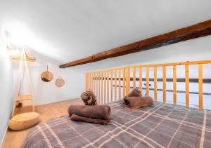 Cocoon Cosy Coeur de Beaucaire - 4