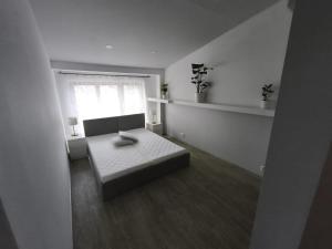 Spacious Apartment with 5 bedrooms and 3 bathrooms for 12 guest in Cracow Old Town