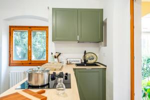 Elenas Apt with Lodge, near the Center