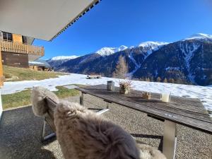 Studio Chalet Edelweiss