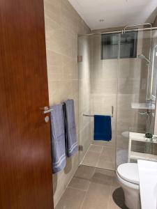 Chands Luxury 2BR apartment in the heart of Colombo Trizen