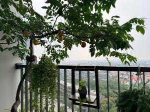 Haven Park Residence H1 15A06