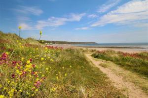 4 Bed in Port Eynon oc-hh9901