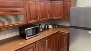 Fully Furnished Apartment in the Heart of Cairo Naser city