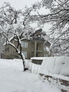 Guest House Tobuldar